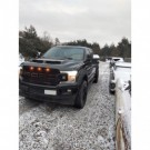 FORD F-150 F150 2015-2020 MASKA SILNIKA NOWA STYL RAPTOR