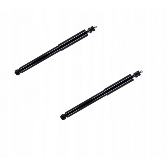 DODGE RAM 1500 2019-2024 AMORTYZATOR AMORTYZATORY TYLNE X 2 SZT NOWY FCS