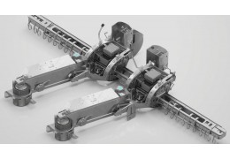 Belka skrętna - wszystko, co warto o niej wiedzieć