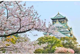 Jak wygląda import aut z Japonii?